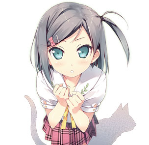 変態王子と笑わない猫。