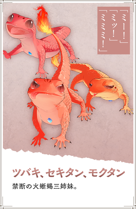 【ツバキ、セキタン、モクタン】禁断の火蜥蜴三姉妹。「ミー！」「ミッ！」「ミミミ！」