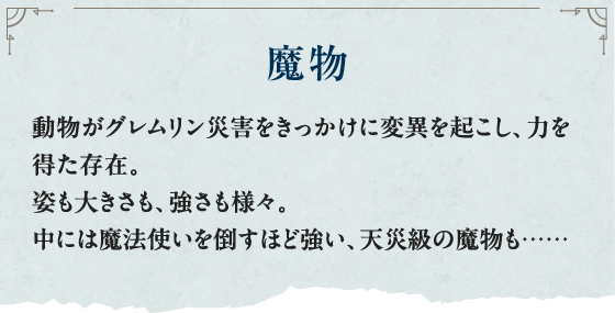 魔物 動物がグレムリン災害をきっかけに変異を起こし、力を得た存在。姿も大きさも、強さも様々。中には魔法使いを倒すほど強い、天災級の魔物も……